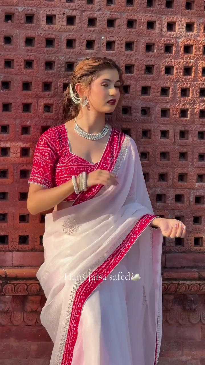 Chiffon Saree with Stone Work – Elegant Evening Drape - Image 3